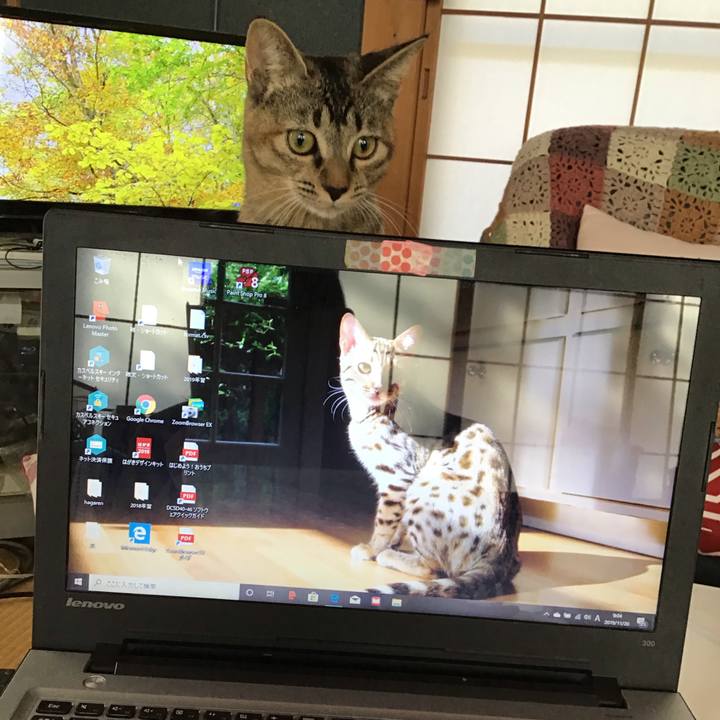 Bb29dae2 b770 4e53 9c1e 91b0ccb75665 1574208534024