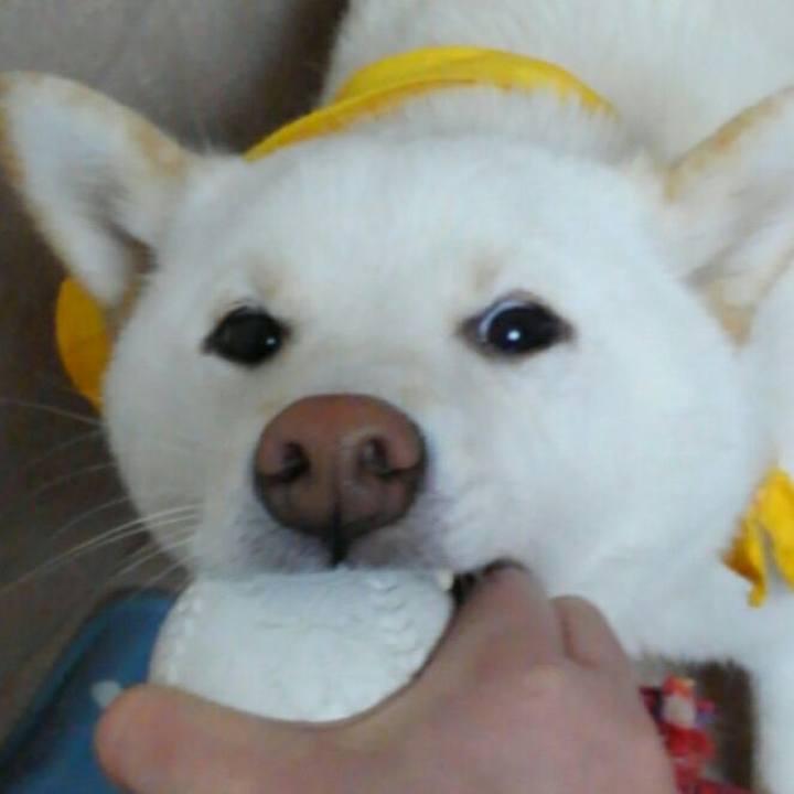 Bb29e825 e83c 4ab2 9f60 807c2e5b8ff6 1523561928371