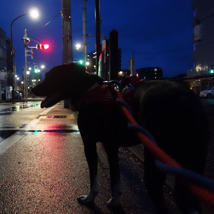 Bb29eac4 82d6 4338 af21 0fc077006c37 1622372882812