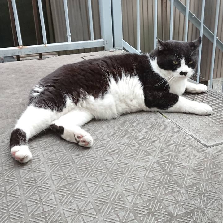 Bb2a111a 919e 4adb 845d aae9be768b07 1624956791579