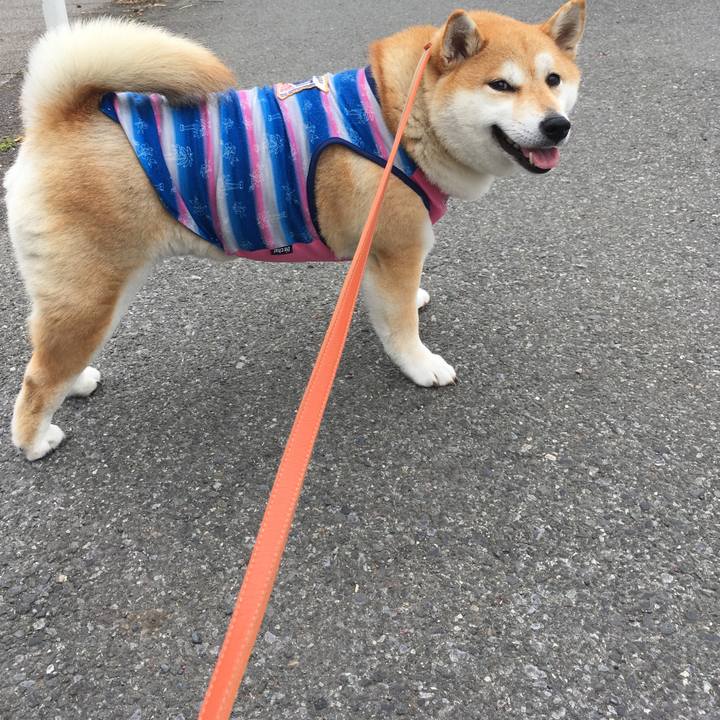 Bb2a2e7d 0736 42d6 a433 0201a61666b1 1556163703289