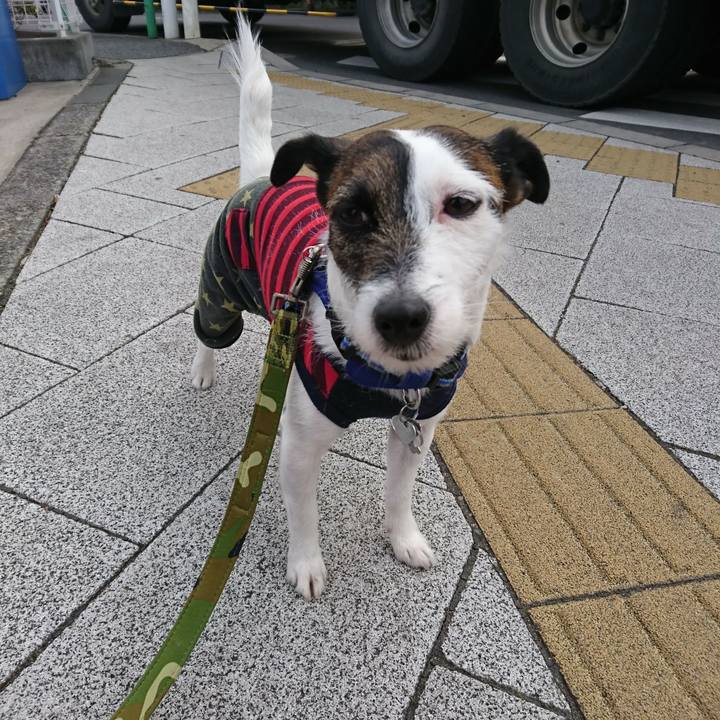 Bb2a3d8e 7aad 4b49 bfc5 b83e24425386 1518226170971