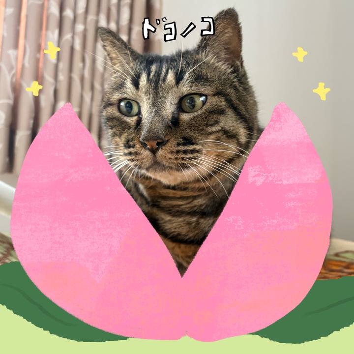 Bb2a602a 1bc8 40b2 a5f0 71714d1b67aa 1771985478524