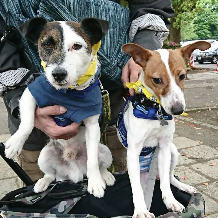 Bb2a610d a401 4e41 89bb 59510943f8de 1523682604788