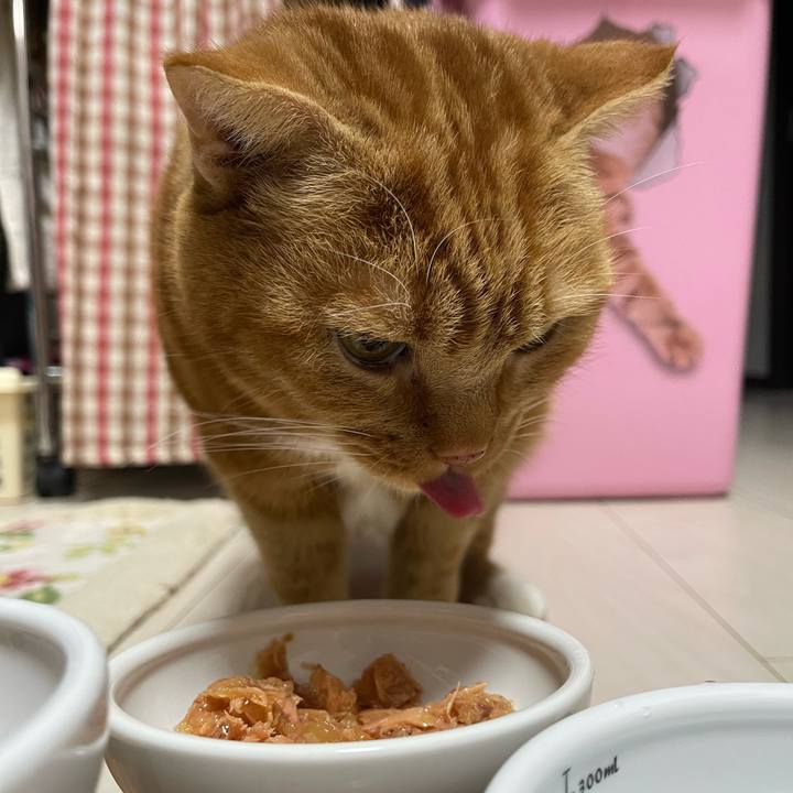 Bb2a637d ce85 464a aa21 8f386eca2316 1734436136118