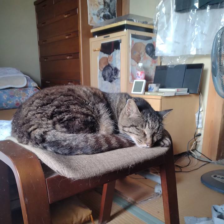 Bb2a6546 076d 468b 83c0 0fc20a52b7b2 1753998313373