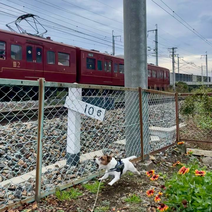 Bb2a6a08 1129 4702 a4a6 2f02e4931587 1730440547447