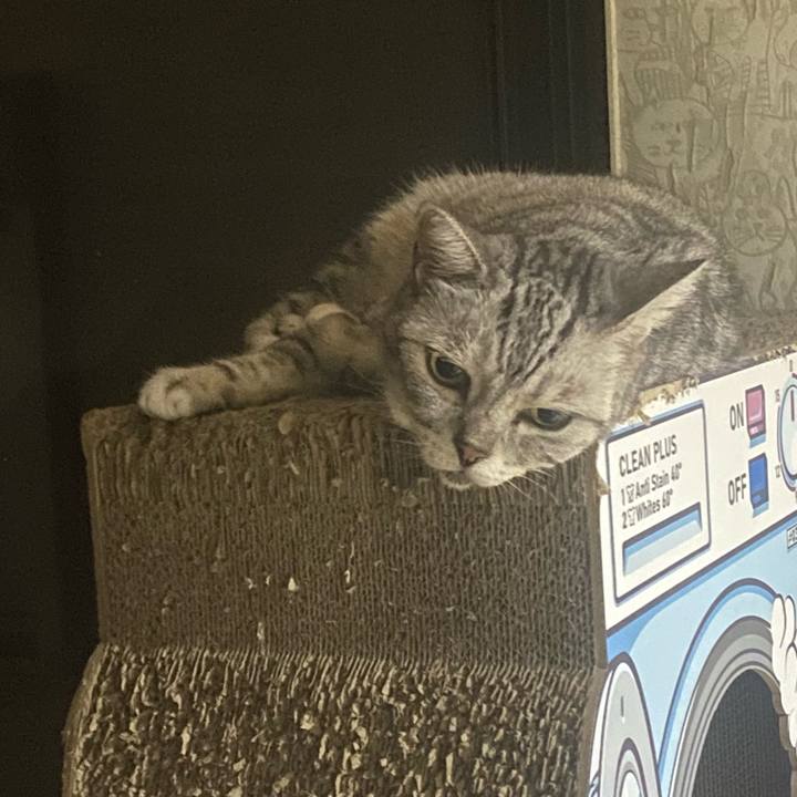 Bb2a6cf6 9612 461c 9415 e431fdb38c58 1723984732628