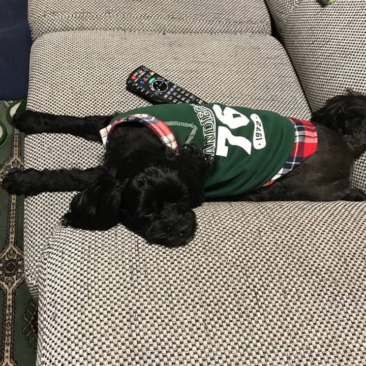 Bb2a87d8 80f6 4dac 8373 456810d0a9bf 1539876552990