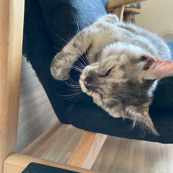 Bb2a94fd 094c 4a5c b22c 2857a8d36a2a 1695967484398