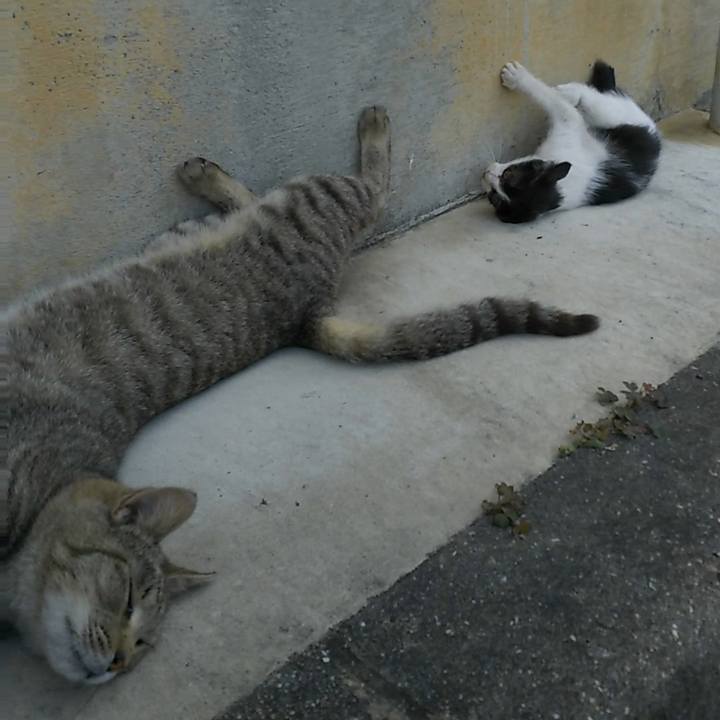 Bb2aac32 5eac 4be9 be37 1b7c9909efba 1529227111782