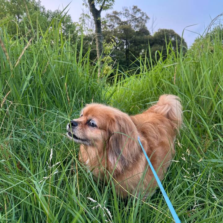 Bb2ab1a6 9f80 4624 a9f3 0caa5786853c 1751316236892