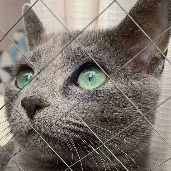 Bb2ab4f1 8266 4806 ac44 779631709009 1580537220518