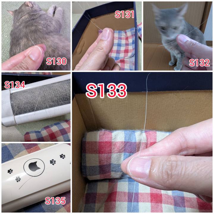 Bb2ab5e2 fab7 42bb 8210 48a911c38095 1750488793711