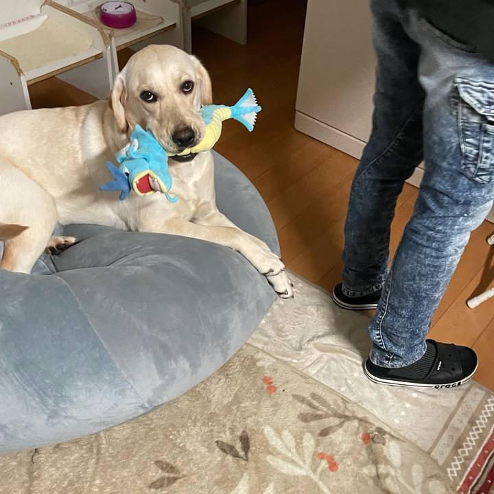 Bb2aeb4e 1edb 4277 9c8b ecda1897784f 1643062223486