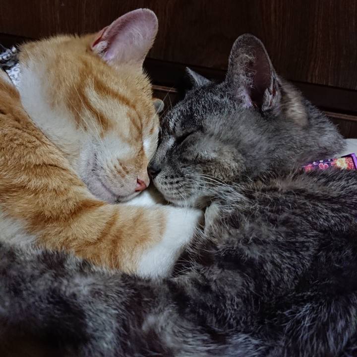 Bb2b0c5e fe29 4fb7 86fa 0d42e92e751b 1587390029334