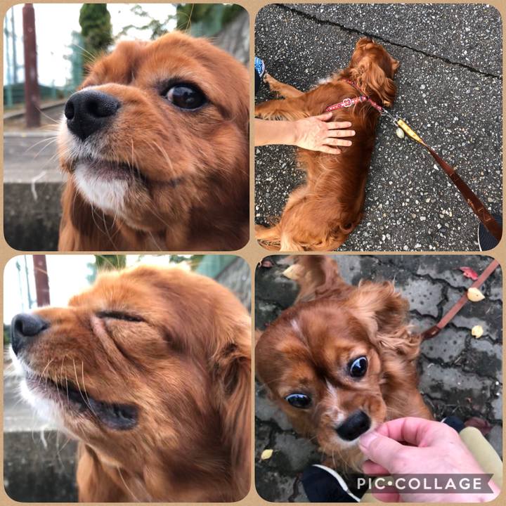 Bb2b1ecb 167d 4a6a 8be9 e258a2f72b86 1601121321706