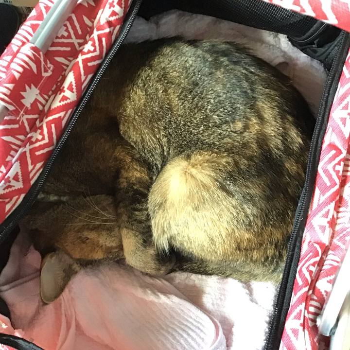 Bb2b39d0 a56b 4f24 af02 32544fc29cda 1641098266749