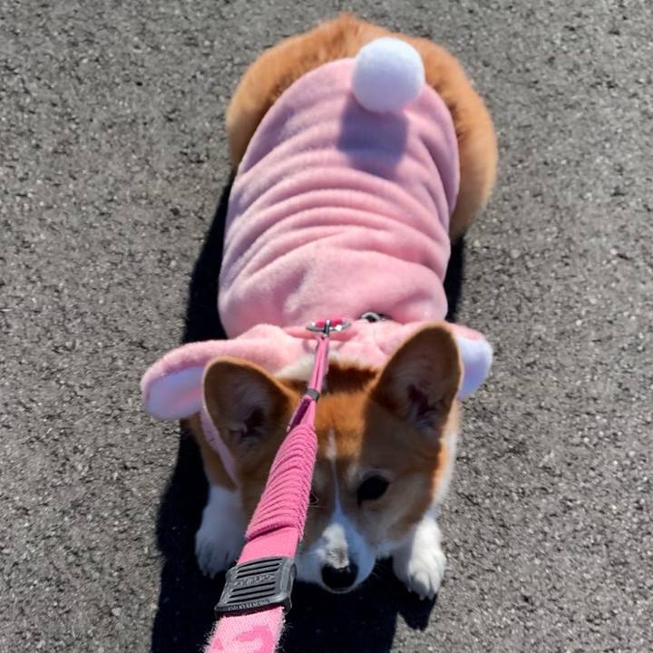 Bb2b3d69 6900 4448 ba92 83eab62bf4ed 1672562366040