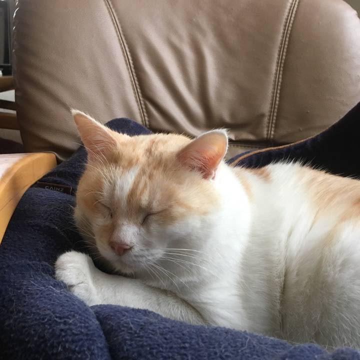 Bb2b5eec 00e6 4684 b264 79faa2d09dab 1508152581605