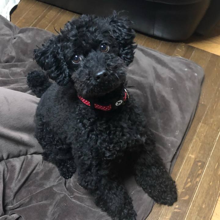 Bb2b6378 6956 4524 a701 befa33a25982 1555857747300