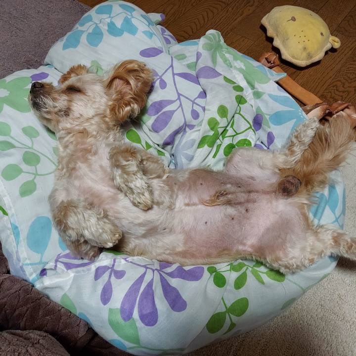 Bb2b7ba0 6b1b 4fa6 8998 22b76c1b5edd 1669874533338