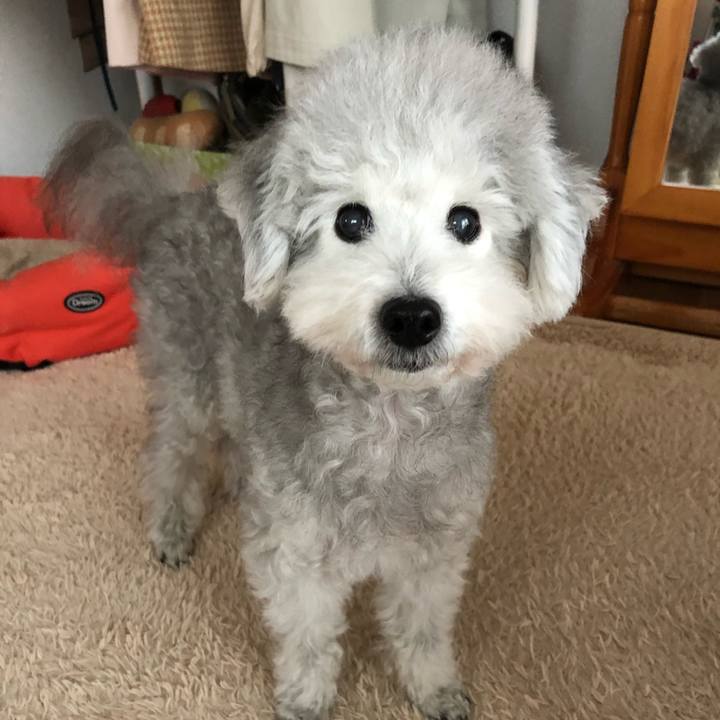 Bb2be1cb 1ec4 4aed a6c4 12608f049438 1574474285141