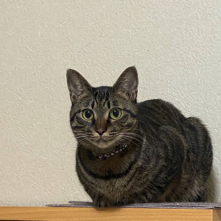 Bb2c16a6 cfcf 4bc3 aeab 9b71e8f797fd 1579334632143