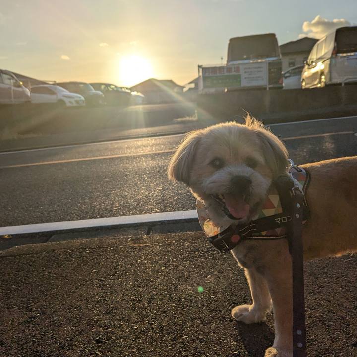 Bb2c39c4 1866 4ed8 8669 e84a11baeb99 1724277120737