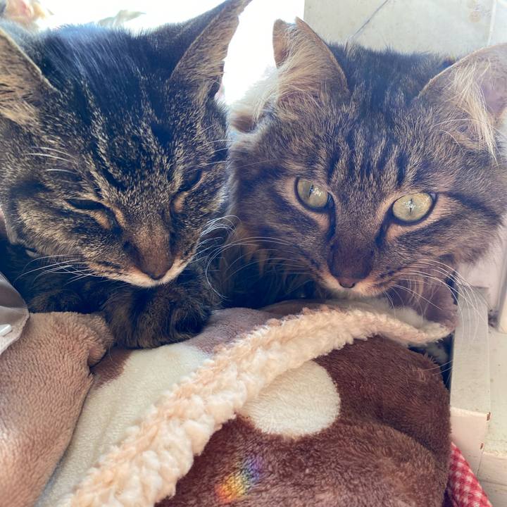 Bb2c693c 4cae 4945 ac45 da9066045116 1705119293209