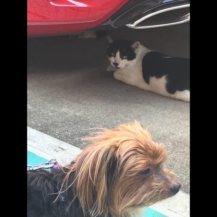 Bb2c7091 e5a0 497e 8c11 845a900506ac 1532124259652