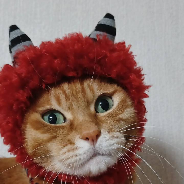 Bb2d1181 75ec 4fb3 b360 269ea807f903 1643730019999