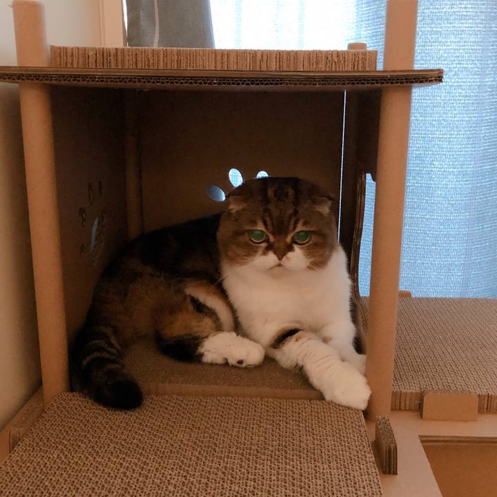 Bb2d3544 b17a 45b6 982e 2f693bc815f5 1597987599758