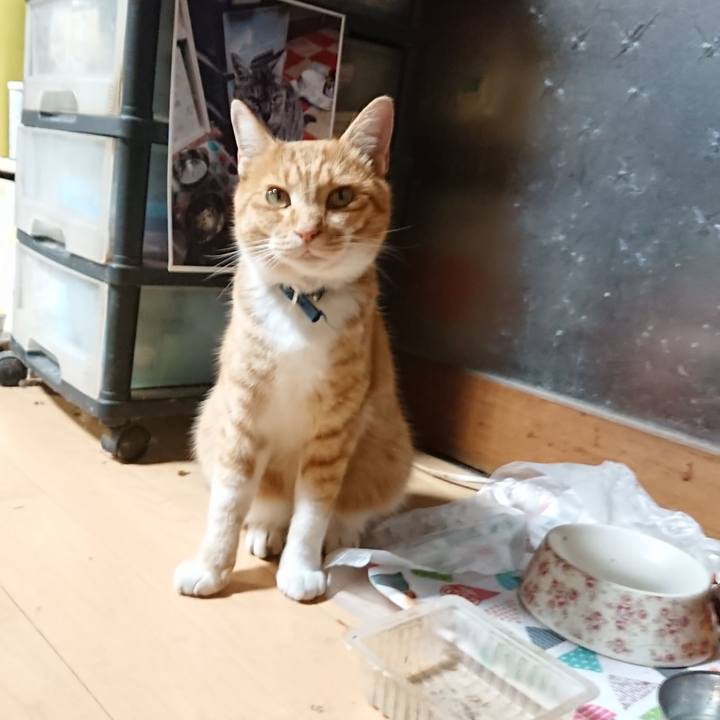 Bb2d39ef ab80 401d a36f 04e1796a529c 1604130594752