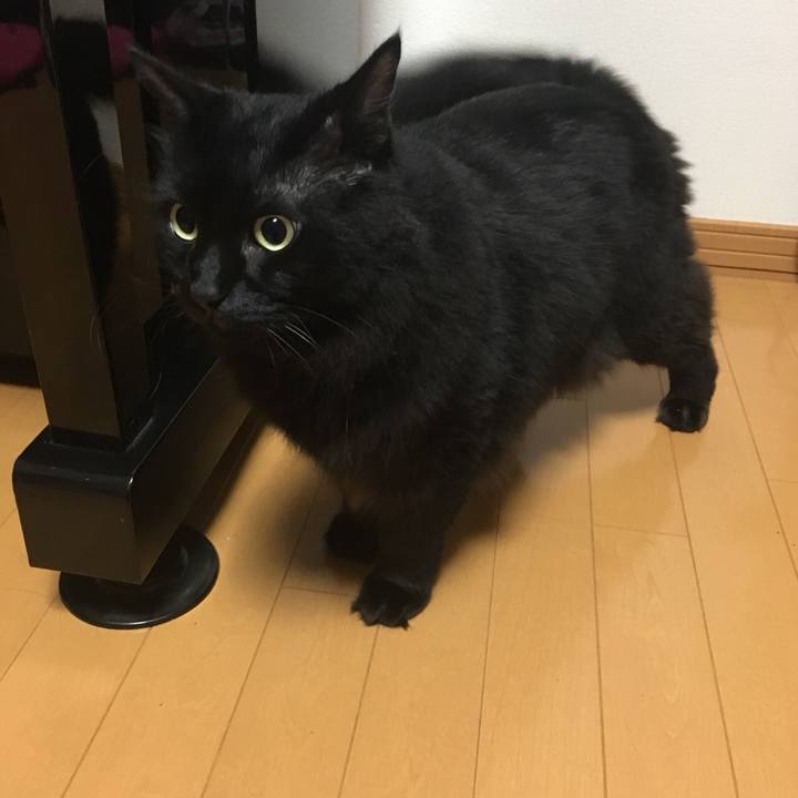 Bb2d40e9 45ec 4b45 b3c5 f3099e98ff7b 1570095762181