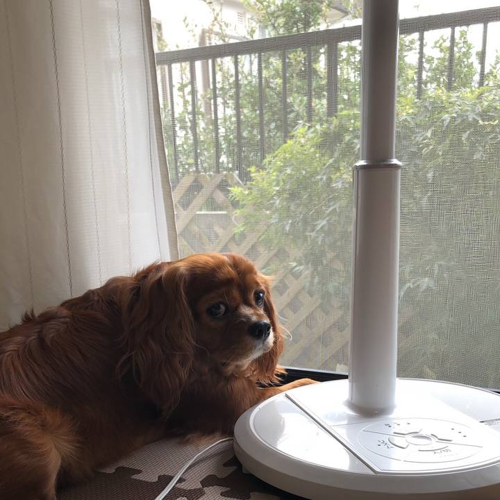 Bb2d4e0e 6297 4e0d b881 38b2bacca91d 1630886354090