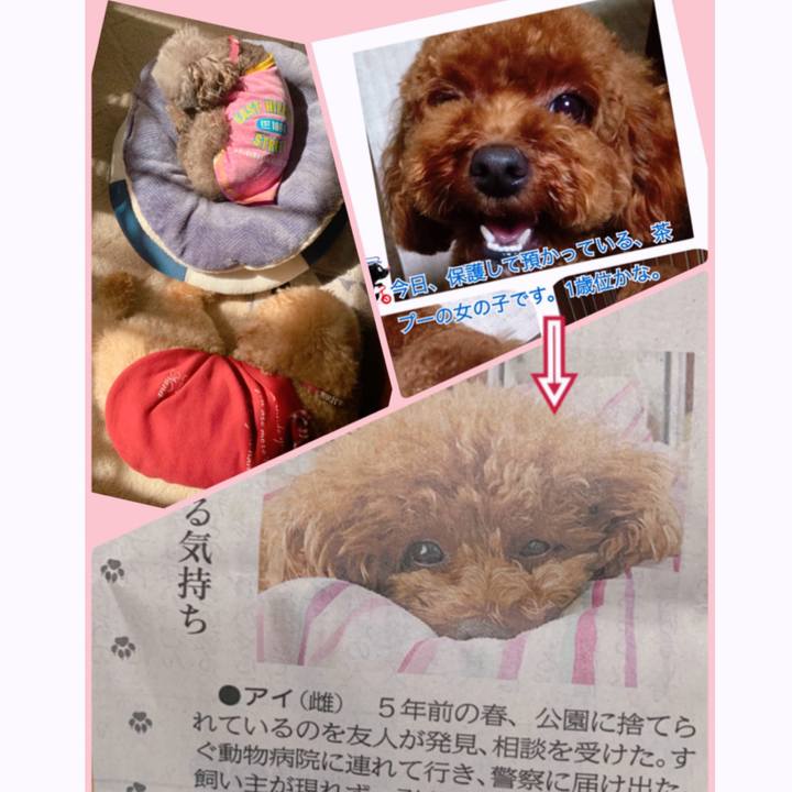 Bb2d56a2 b927 4c25 91b3 08b01d799a78 1618100585552