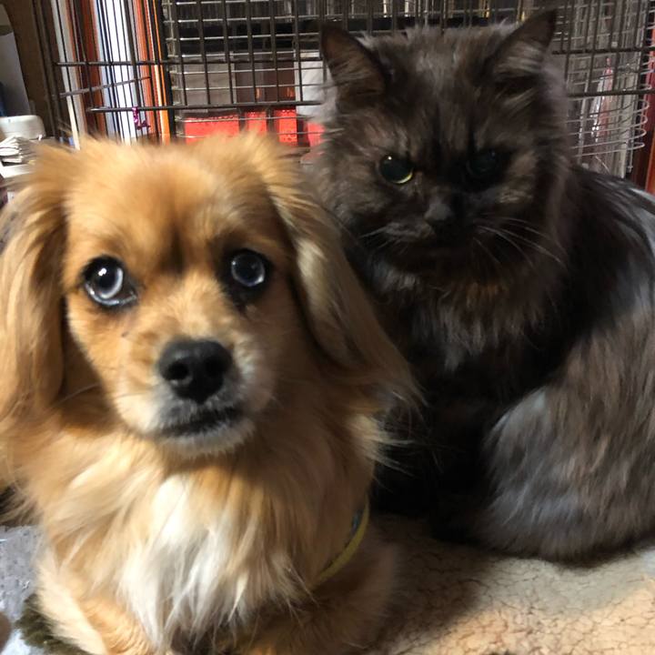 Bb2d65af d0e9 4b7f 868f 088173062594 1551130646122