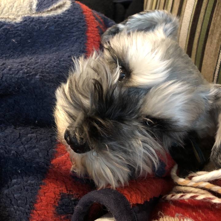 Bb2d98c6 aaa5 49c3 9cd8 688335417654 1583634392045