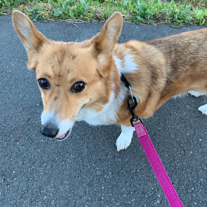 Bb2dcf9b 8a33 472c 8092 c5cb9736b43f 1580367780749