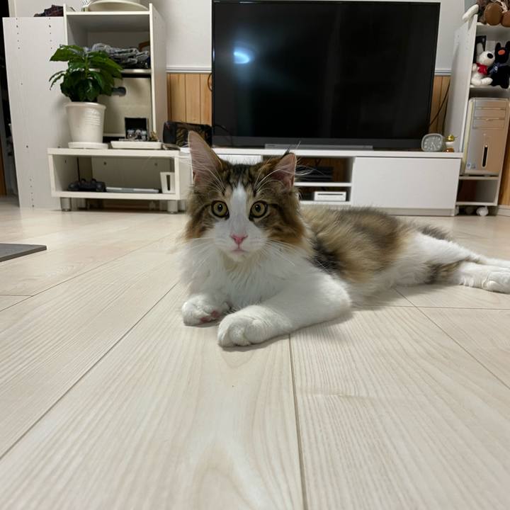 Bb2ddb9a e88c 4066 87c4 913d8b4d1e1c 1637705038877