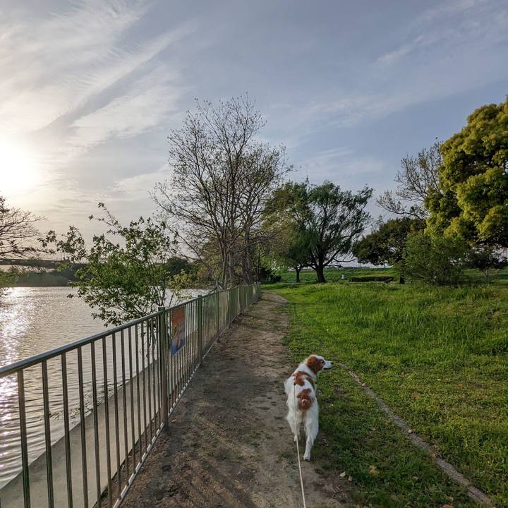 Bb2de0b6 85b0 4b12 acae d489ded21ceb 1682070780457