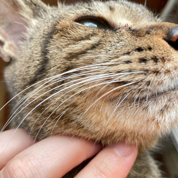 Bb2de617 cdc0 4a66 a88d 6258ccd2816a 1619834123447