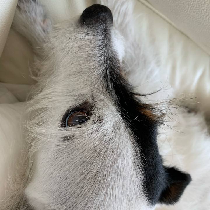 Bb2df634 b47a 49a4 88fb 3a72ca4b8415 1684728189095