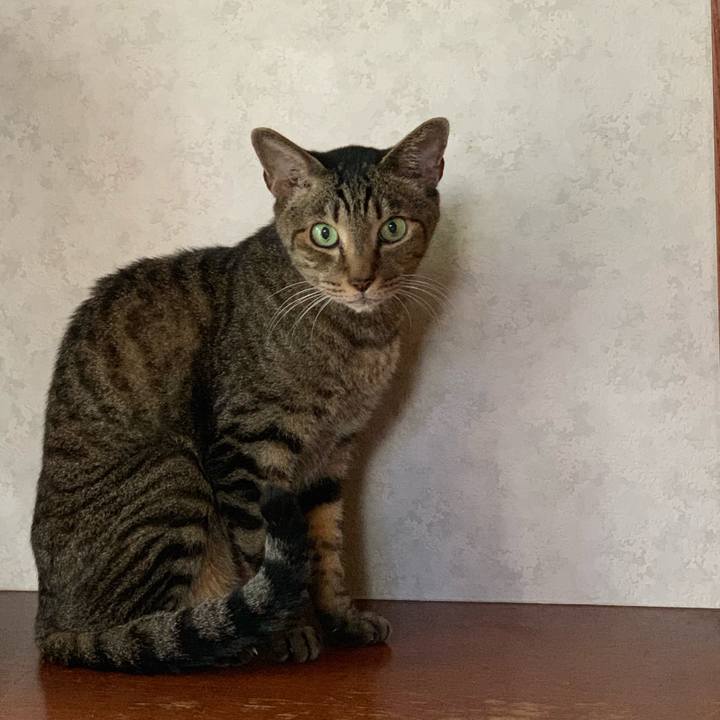 Bb2e6523 0e87 4f1e 97f9 4e08bcca36df 1570671043696