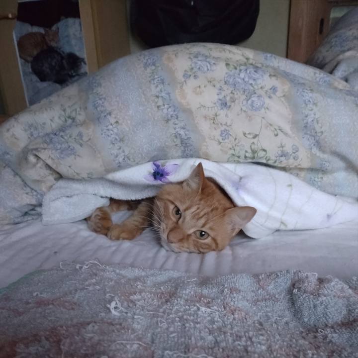 Bb2e728d ddeb 404b b20c 571559cf99e3 1666648293384