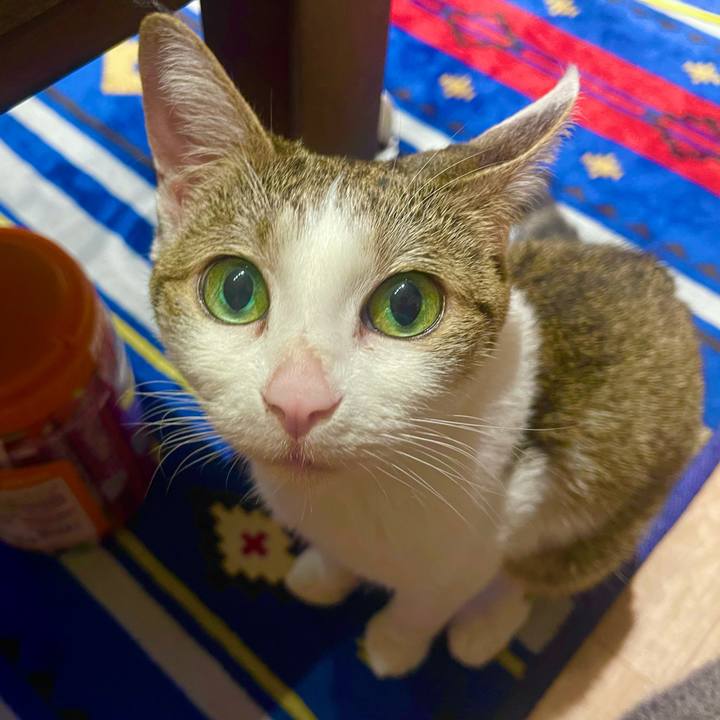 Bb2e8da6 7f58 49dd 8286 da4ff07d5c4e 1629029844237