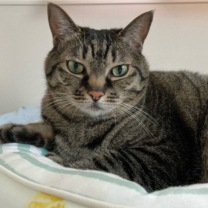 Bb2e99c8 fecf 4a78 beeb cc5a2a19817e 1684969468214