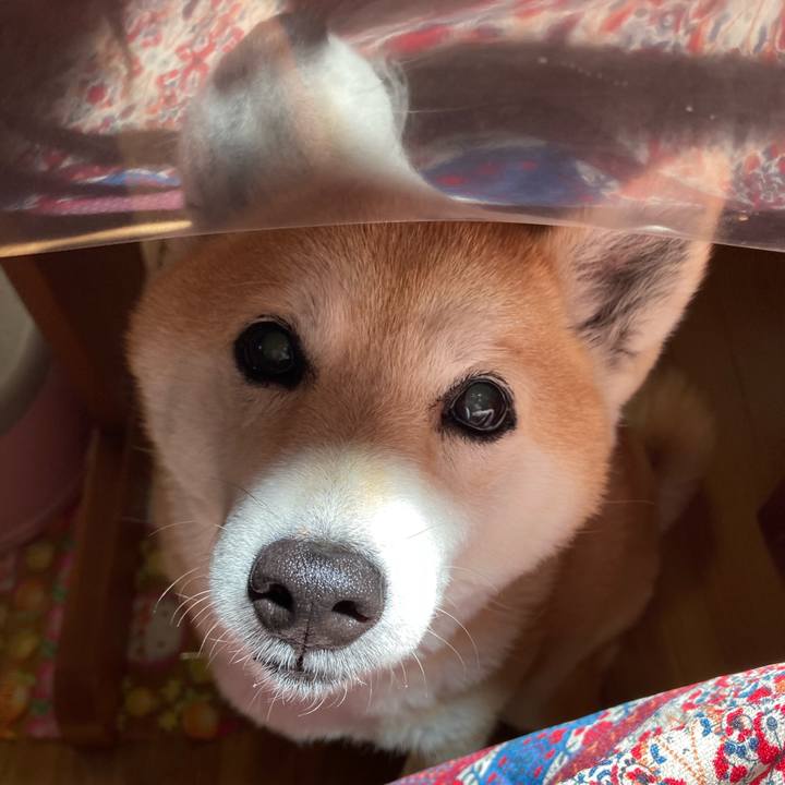 Bb2eb05a f4f4 4be6 aade f297e2af4300 1626991556536