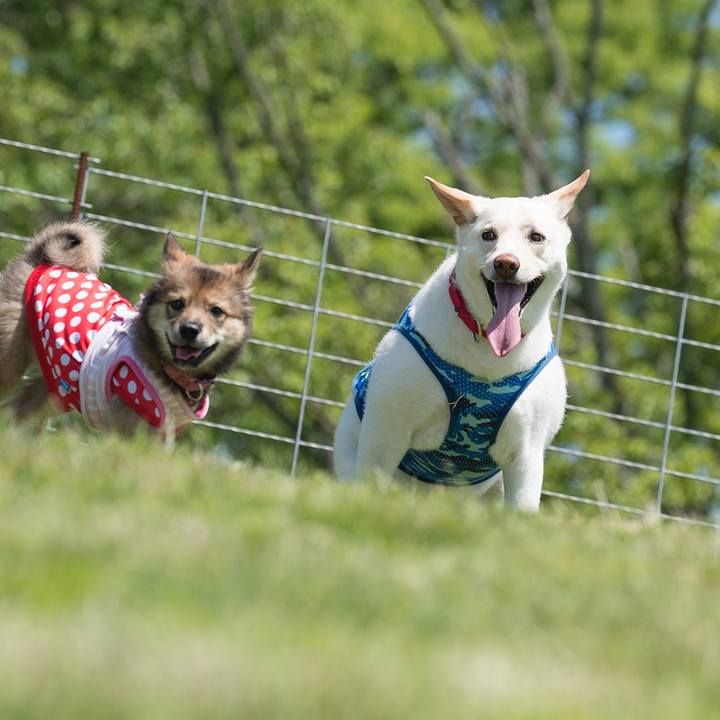 Bb2ec174 fcfa 4336 bd85 002f5f972376 1525007456810